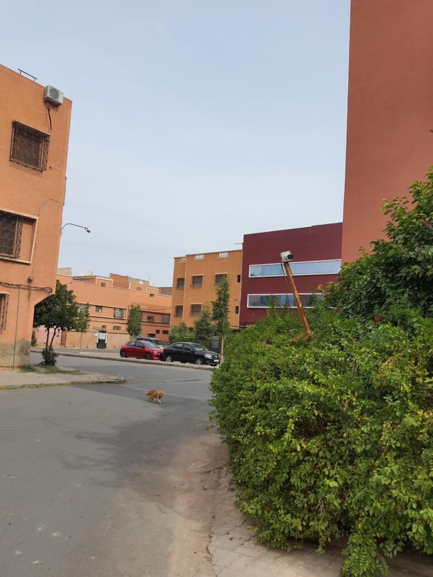 Marrakech Apartment Marrakesh Bagian luar foto