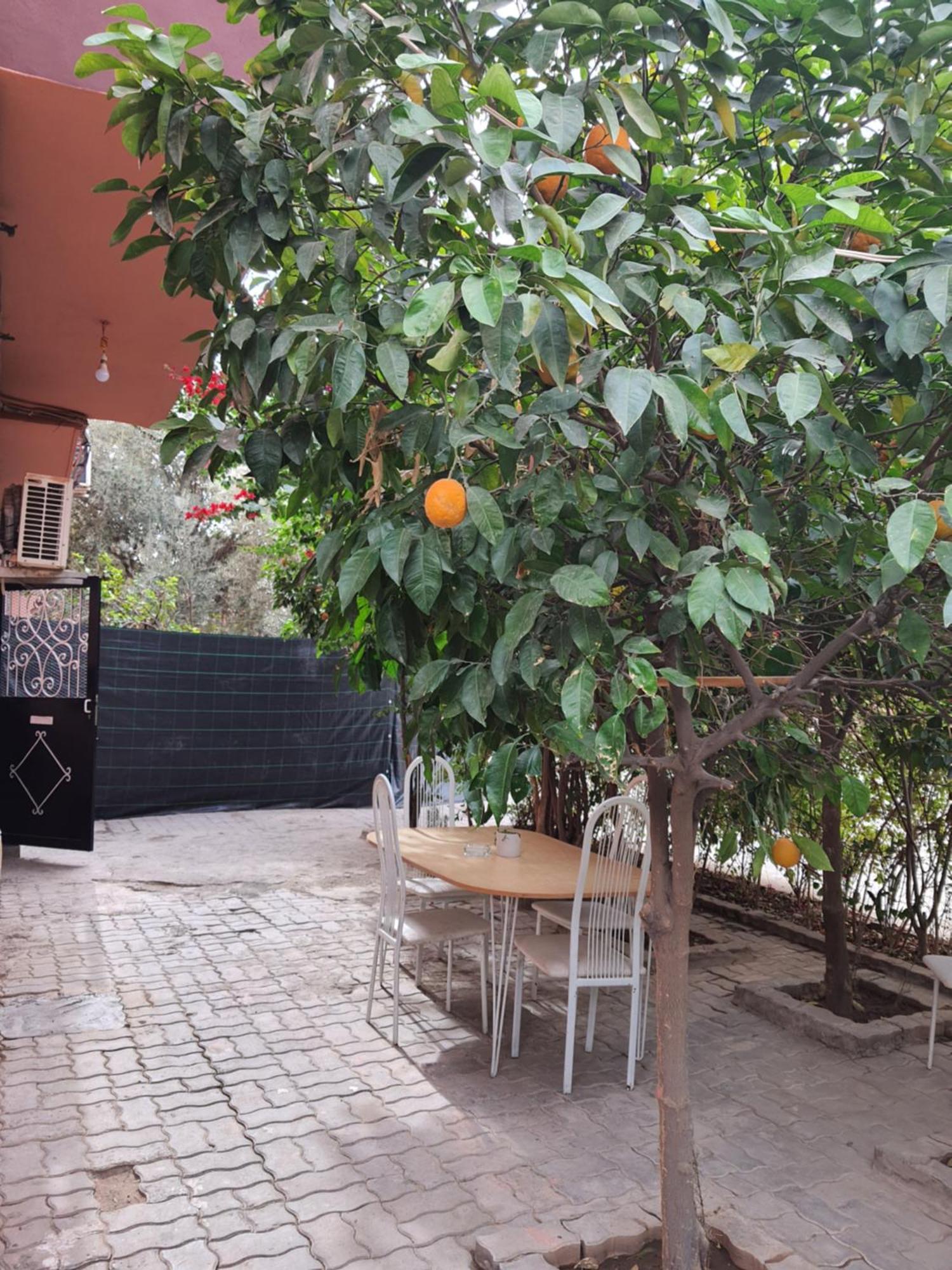 Marrakech Apartment Marrakesh Bagian luar foto